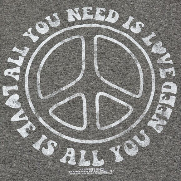 Lyrics by Lennon & McCartney SS Grey Crop Tee "All You Need Is Love" - Size 3X - Picture 2 of 4